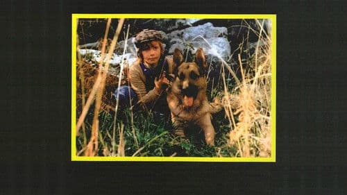 Zanna Bianca e il grande Kid Bild 1