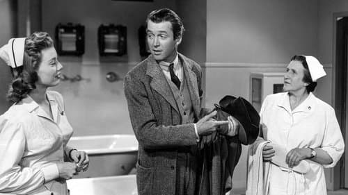 Mein Freund Harvey Bild 1