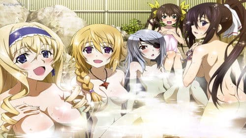 Infinite Stratos Bild 5