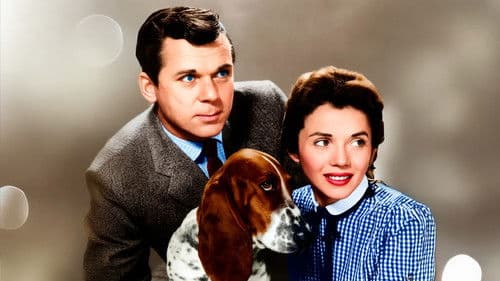 The People's Choice Bild 1