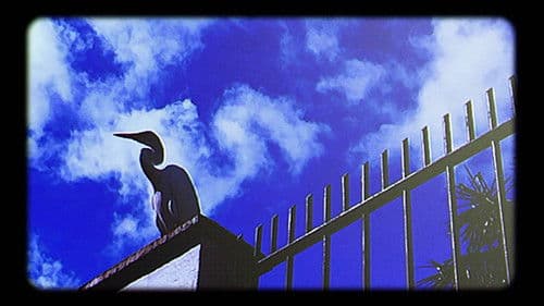 A Menina-Garça Bild 1