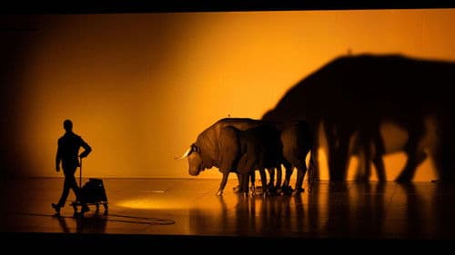 Η Καρδιά του Ταύρου Bild 7