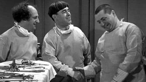 Calling All Curs Bild 2