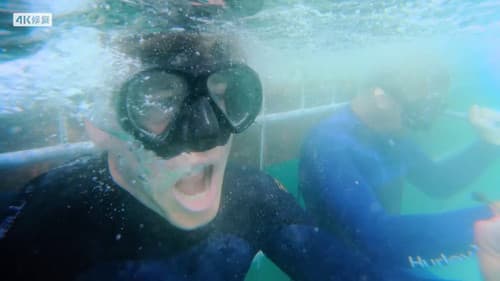 Animal Impossible Bild 4