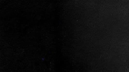 9/11: The Day that Changed America Bild 1