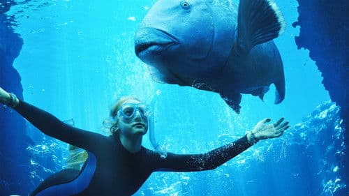 Blueback - Eine tiefe Freundschaft Bild 5