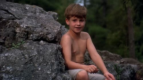 Looking for Miracles Bild 3