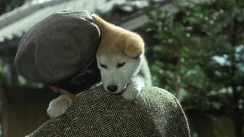 Hachiko - Wahre Freundschaft währt ewig Bild 1