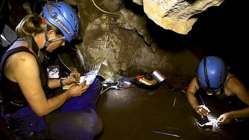 Stunde Null des Menschen Bild 1