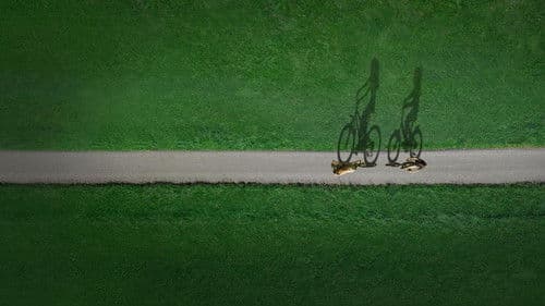 Taken Together: Who Killed Lyric and Elizabeth? Bild 5