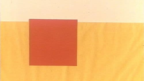 Šagrenska koža Bild 3