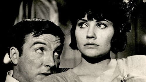 Saturday Night Out Bild 1