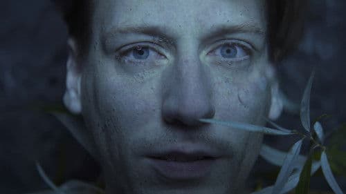 Dogs don't wear Pants Bild 6