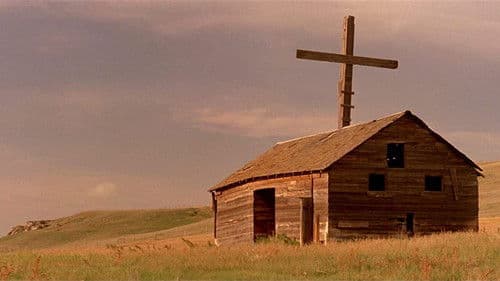 Schrei in der Stille Bild 2