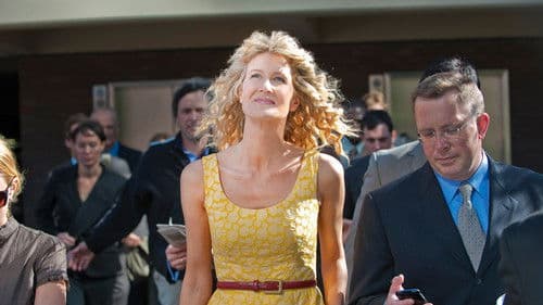 Enlightened - Erleuchtung mit Hindernissen Bild 3