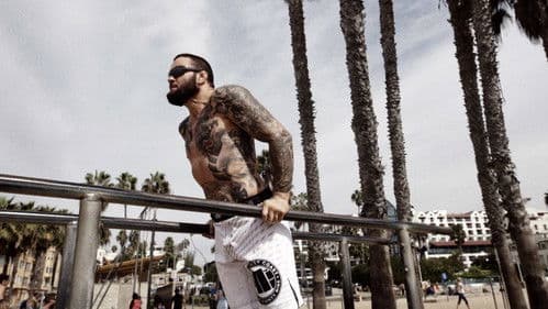 Materla. Lionheart Bild 1