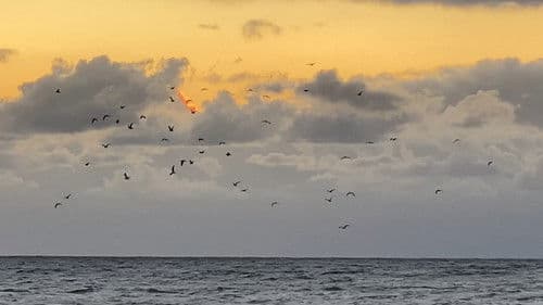 Закрытие Bild 8