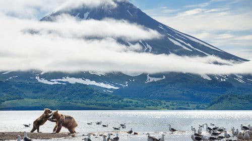 Ein perfekter Planet Bild 7