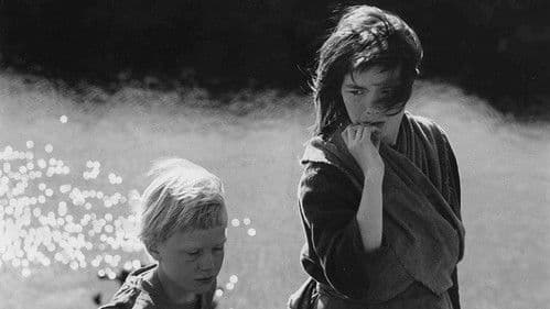 Der Wacholderbaum Bild 3