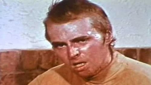 LSD: Trip to Where? Bild 1