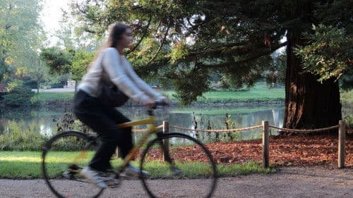 Déjeuner de Soleil Bild 1