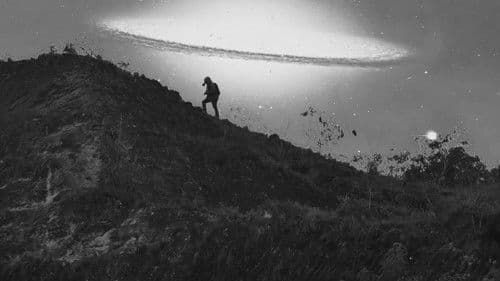 Terrario de Desvelados Bild 1