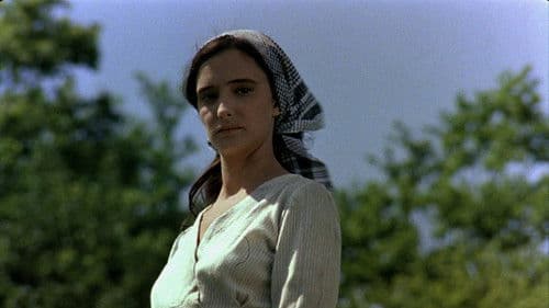 Vacas - Kühe Bild 2