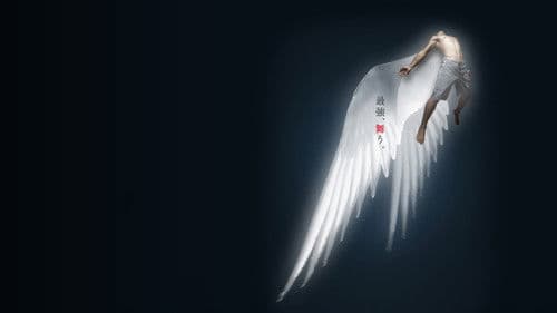 HEIWA DREAM.7 Bild 1