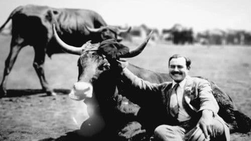 Hemingway Unknown Bild 1