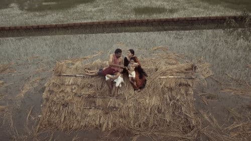 ଚାରି ଧାମ Bild 8