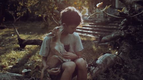 The Gospel of the Beast Bild 1