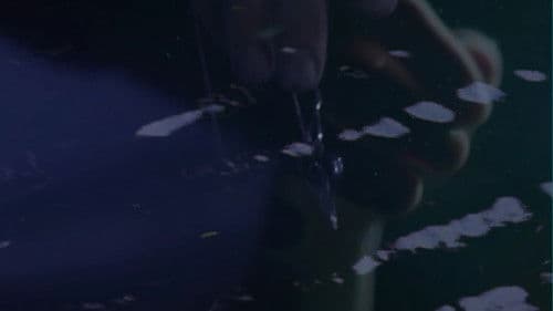 Seeing Through the Mists of Oblivion Bild 1