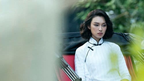 梅艷芳：導演版 Bild 2