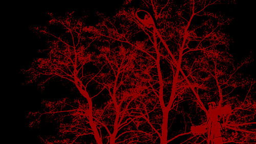 The Sounds of 7am Bild 1