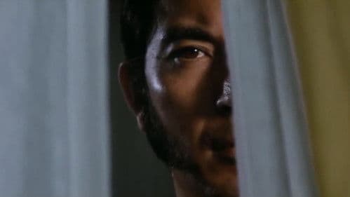 薔薇の標的 Bild 4