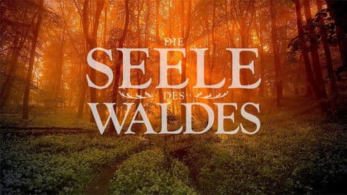 Die Seele des Waldes Bild 1