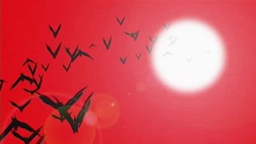 Blind - What If? Bild 1