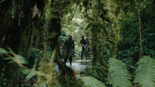 La Miséricorde de la jungle Bild 4