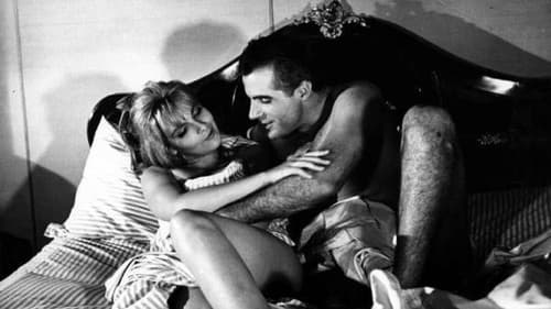 Bianco, rosso, giallo, rosa Bild 1