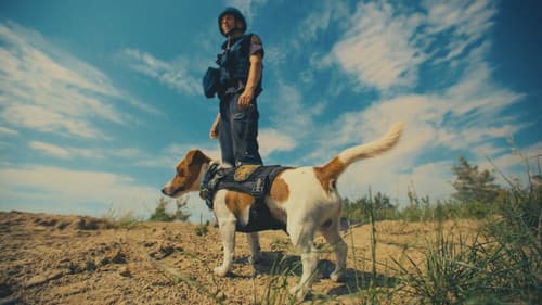 Ми, наші улюбленці та війна Bild 2