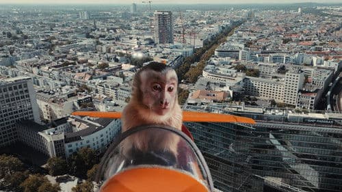 Akiko - Der fliegende Affe Bild 2