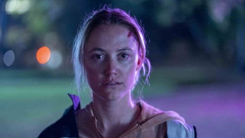 In Cold Light Bild 2