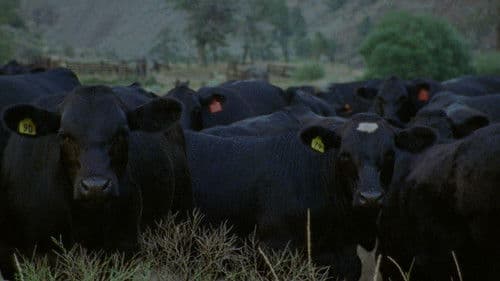 A Forgotten Place Bild 1