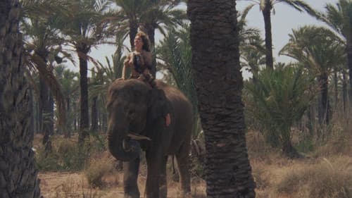 Der goldene Tempel der Amazonen Bild 3