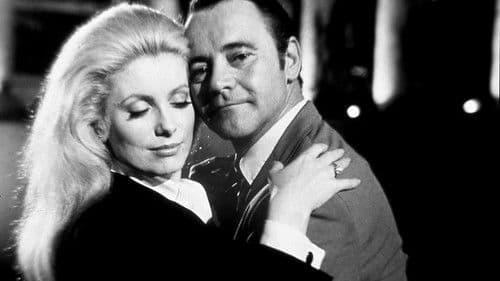 Ein Frosch in Manhattan Bild 7