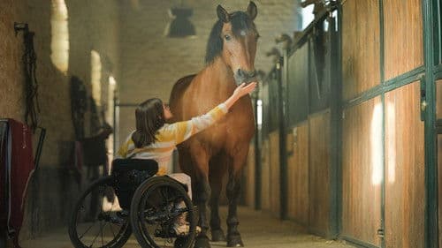 Zoe & Sturm - Mein Traum vom Reiten Bild 7