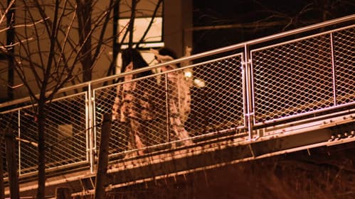 As We Hold Hands Bild 2