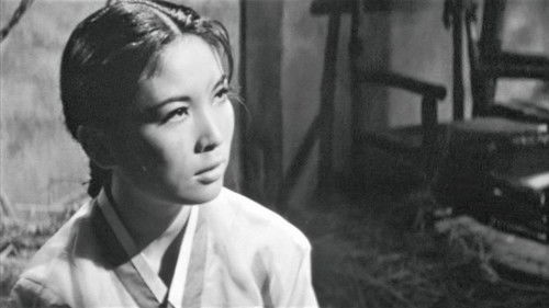 풍운의 검객 Bild 1