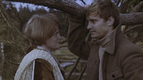 Время выбрало нас Bild 1