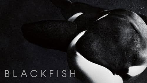 Blackfish: Der Killerwal Bild 8